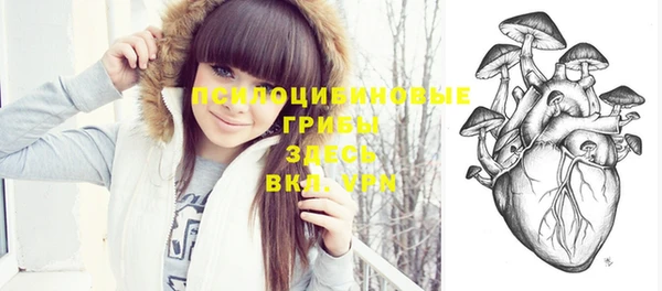 дживик Богородск