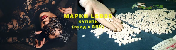 дживик Богородск