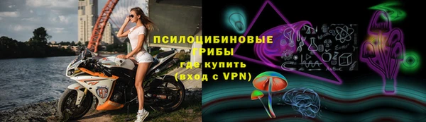 стафф Богородицк