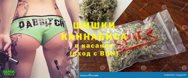 стафф Богородицк