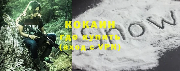 дживик Богородск