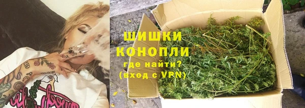дживик Богородск