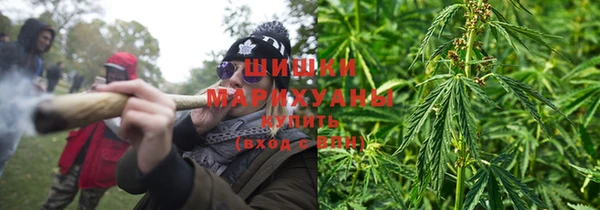 дживик Богородск
