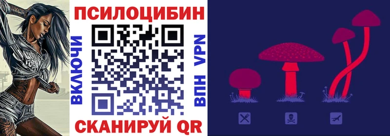 Галлюциногенные грибы мицелий как найти закладки Великий Новгород