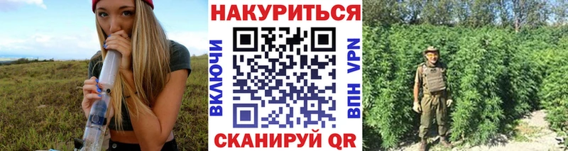 Канабис конопля  купить   Великий Новгород 